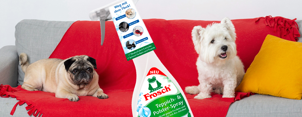 Euromarket: расширение ассортимента профессиональной бытовой химии — FROSCH Пенный пятновыводитель для ковров и обивки Euromarket: расширение ассортимента профессиональной бытовой химии — FROSCH Пенный пятновыводитель для ковров и обивки