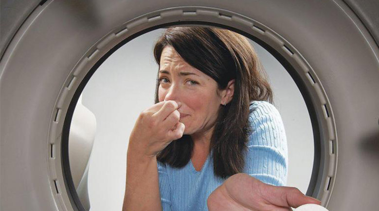 Чистота стиральных и посудомоечных машин